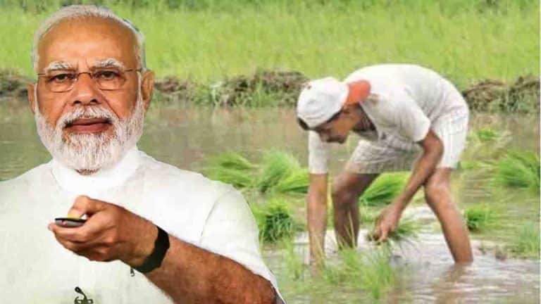 These 6 Steps Are Crucial to Receive the 20th Installment of PM Kisan – Your Payment May Be Delayed Without Them