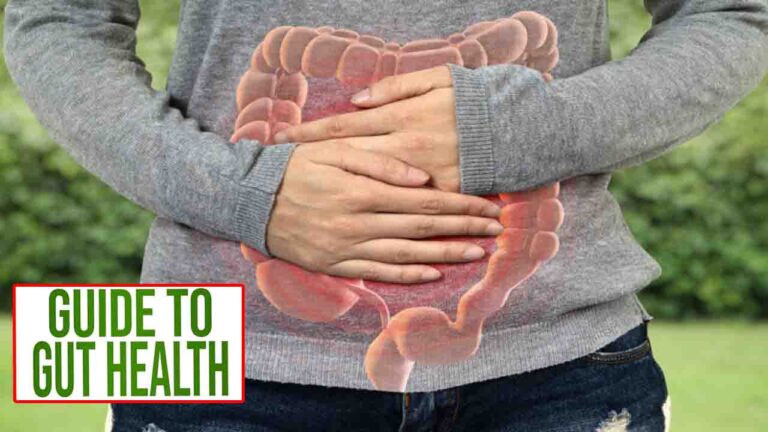 Gut Health Guide: Expert’s Simple 21-Day Plan