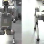 Chinese Robot Dog Sparks Row: Galgotias University Asked to Leave AI Summit Venue