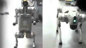 Chinese Robot Dog Sparks Row: Galgotias University Asked to Leave AI Summit Venue