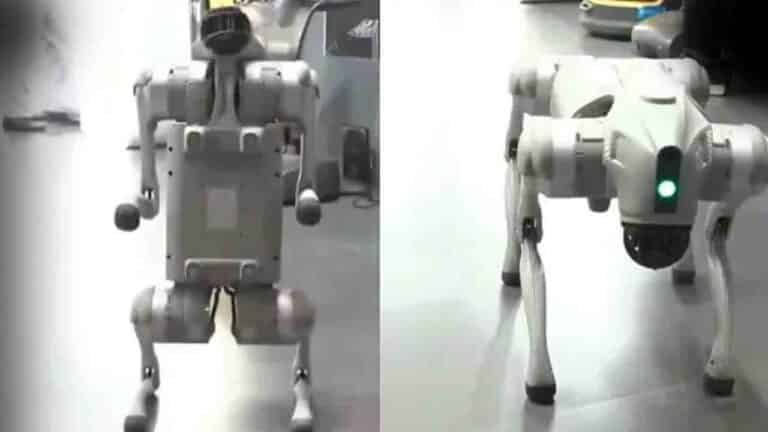 Chinese Robot Dog Sparks Row: Galgotias University Asked to Leave AI Summit Venue