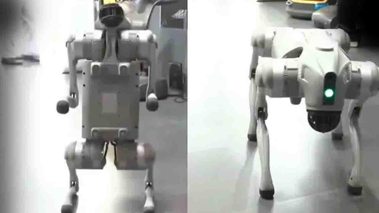 Chinese Robot Dog Sparks Row: Galgotias University Asked to Leave AI Summit Venue