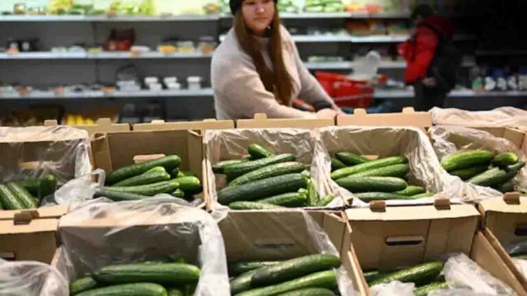 Cucumbers More Expensive than Gold? Inside Russia's Bizarre Food Inflation Crisis"