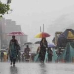 Hailstorm and Fresh Snowfall Hit Himachal: Apple Crops and Wheat Harvest Suffer Damage