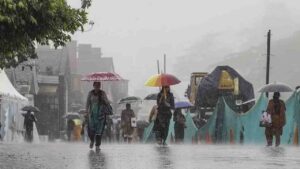 Hailstorm and Fresh Snowfall Hit Himachal: Apple Crops and Wheat Harvest Suffer Damage