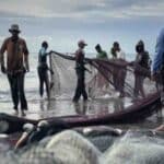 India’s Fisheries Revolution: Record ₹39,272 Crore Push Propels India to Second-Largest Global Fish Producer