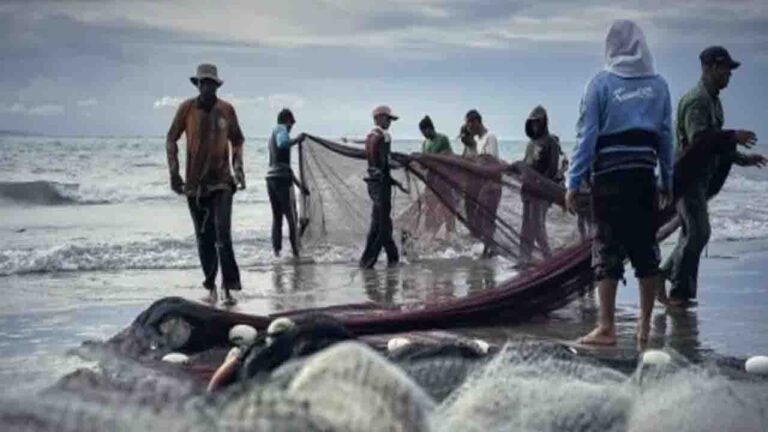Record ₹39,272 Crore Push Propels India to Second-Largest Global Fish Producer