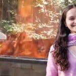 Mandi Student Murder Case: Siya’s Last Rites Amidst Widespread Outrage in Himachal; Opposition Questions Law and Order, CM Promises Justice