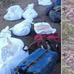 Chamba Road Accident: 6 Dead as Tourist SUV Plunges into Deep Gorge