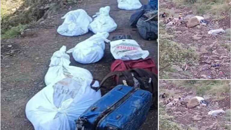Chamba Road Accident: 6 Dead as Tourist SUV Plunges into Deep Gorge