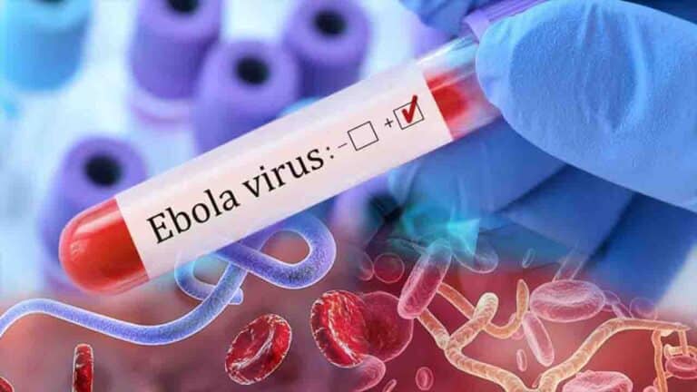 Ebola Virus Latest News