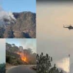 Kasauli Forest Fire Brought Under Control After 18-Hour Joint Operation by Army, Air Force