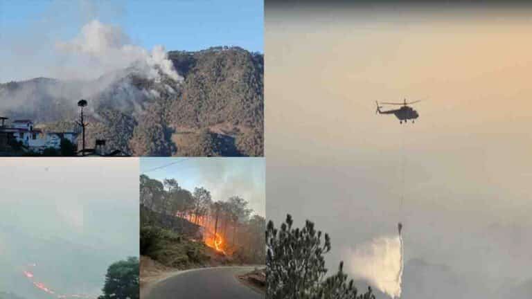 Kasauli Forest Fire Brought Under Control After 18-Hour Joint Operation by Army, Air Force