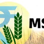 Kharif Crops MSP Hike 2026: Farmers Get Major Price Boost as Cabinet Approves New Rates
