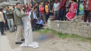 Delhi Man Arrested for Murder After Crushing Pedestrian in Kullu