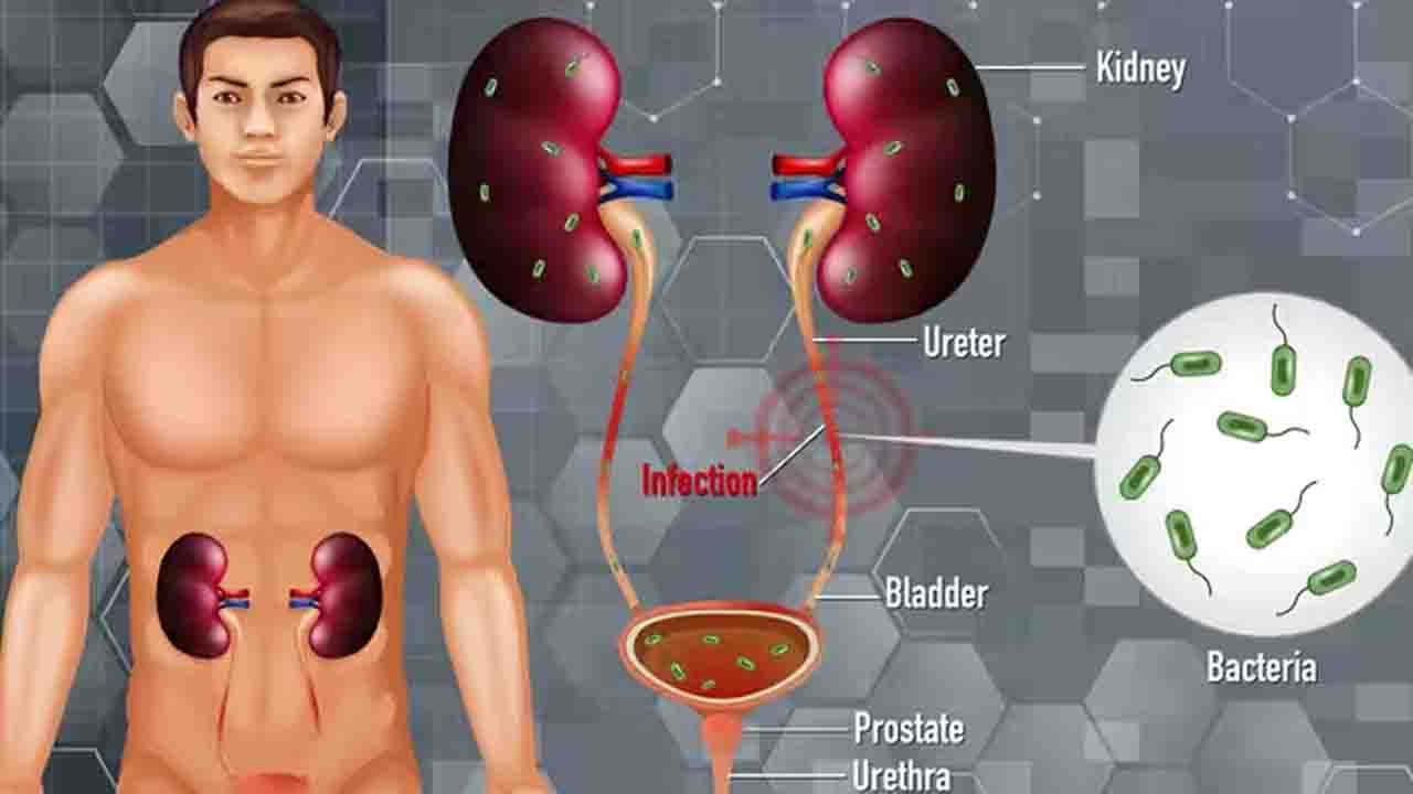 Why UTI in Men is Rare but Far More Dangerous Than in Women