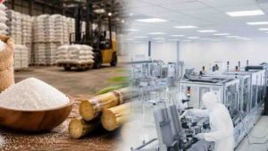 Sharp Surge in Sugar Prices Escalates Cost Pressures for BBN Pharma Industry