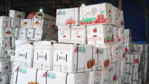 India-New Zealand FTA Sparks Concerns for Himachal’s ₹5,500 Cr Apple Industry