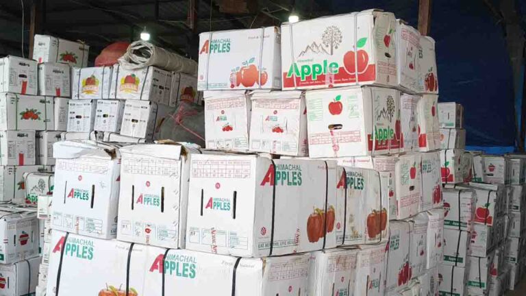 India-New Zealand FTA Sparks Concerns for Himachal’s ₹5,500 Cr Apple Industry