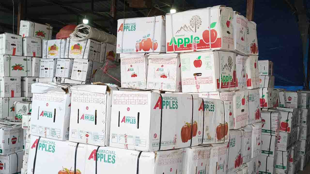 India-New Zealand FTA Sparks Concerns for Himachal’s ₹5,500 Cr Apple Industry