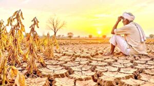 Maharashtra Declares Drought in 265 Talukas, Announces Relief