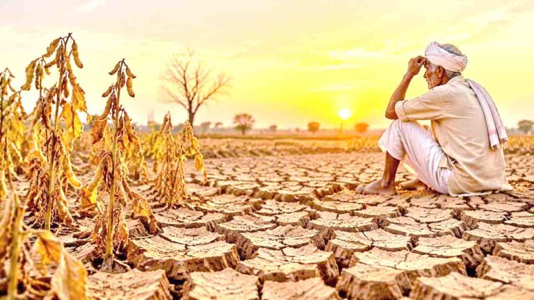Maharashtra Declares Drought in 265 Talukas, Announces Relief