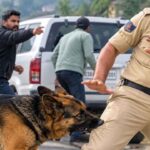 Hamirpur: Drug Raid Turns Violent as Attack Dog Is Set on Police Team