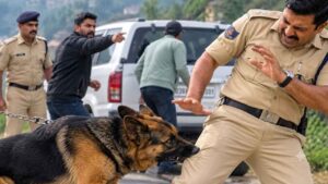 Hamirpur: Drug Raid Turns Violent as Attack Dog Is Set on Police Team