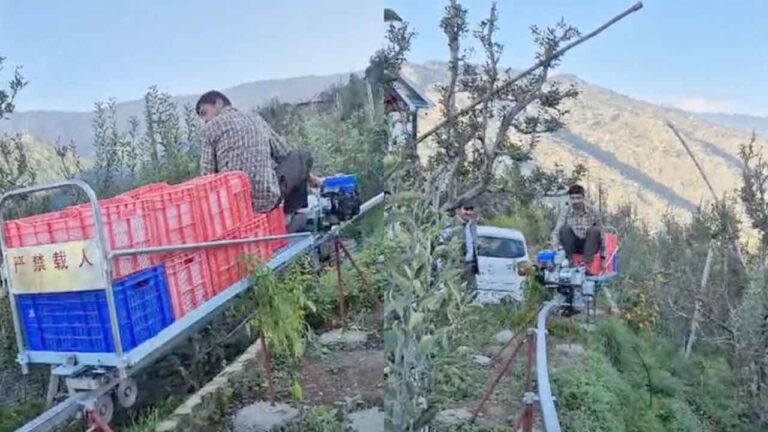 Himachal Apple Grower Installs Monorail in Shimla Orchard to Beat Labour Shortage