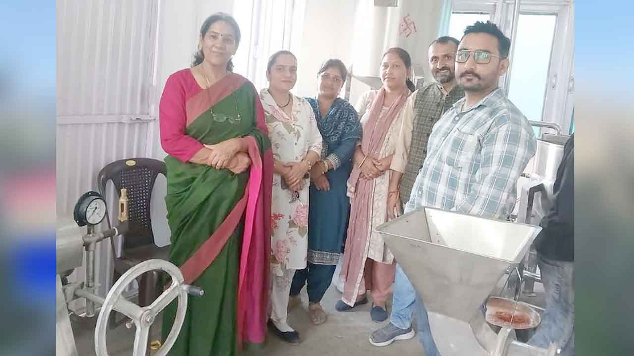 Solan Gets First Women-Run Tomato Processing Unit at Salogra to Curb Crop Wastage
